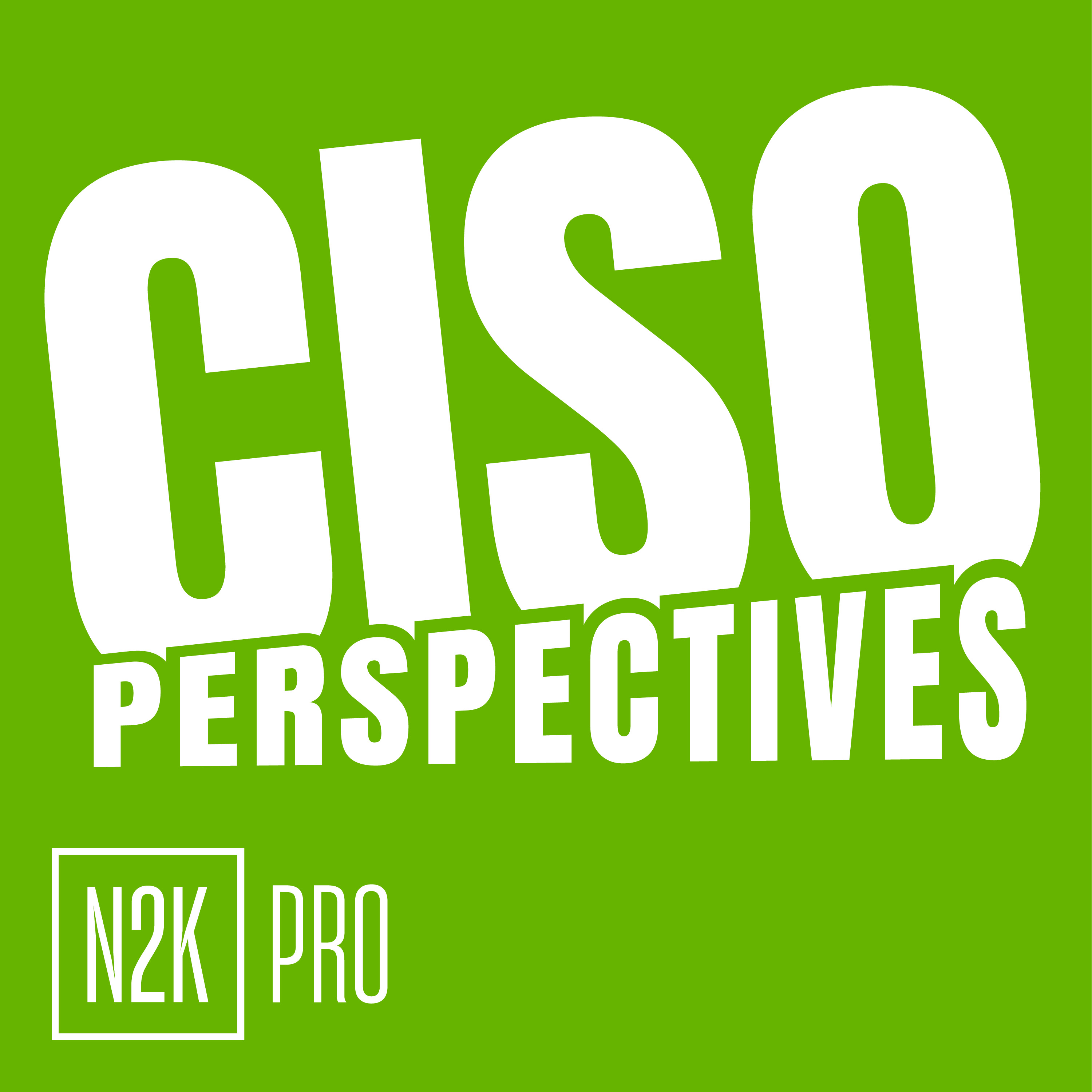 CISO Perspectives (Pro)